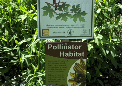 Backyard Habitat