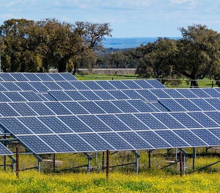 Community Solar Panels