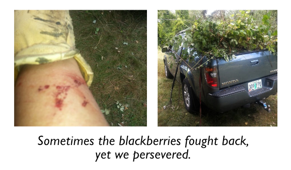 Battling Blackberries