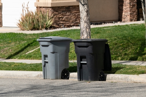 Curbside garbage and recycling bins