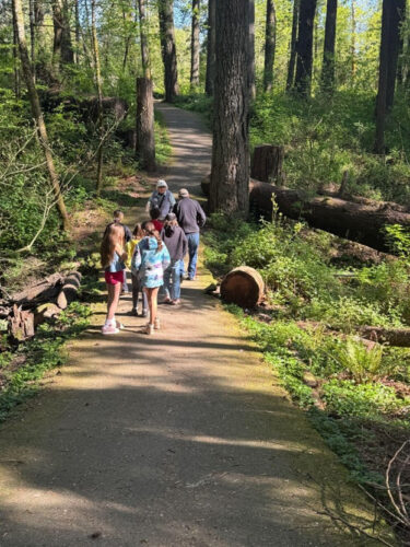 Photo of students walking on a path in a forest