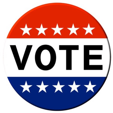 vote pin